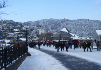 Delhi to shimla